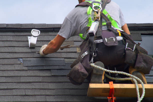 Best Affordable Roofing Company  in South Monroe, MI