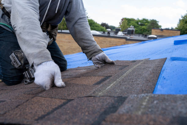 Best Commercial Roofing Services  in South Monroe, MI