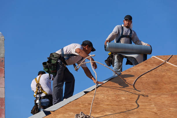 Best Emergency Roof Repair  in South Monroe, MI