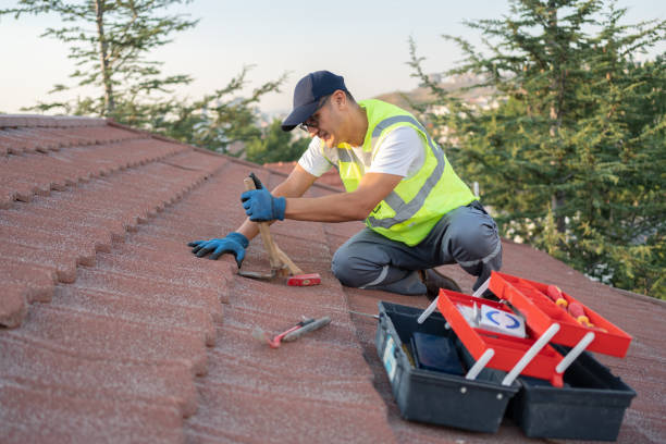 Roof Gutter Cleaning in South Monroe, MI