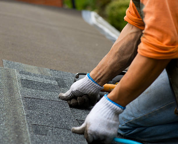  South Monroe, MI Roofing Contractor Pros