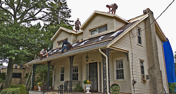 Best Residential Roofing Contractor  in South Monroe, MI