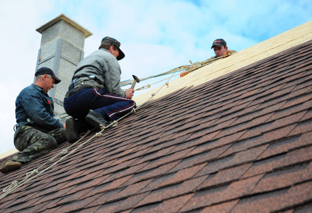 Best Residential Roof Replacement  in South Monroe, MI