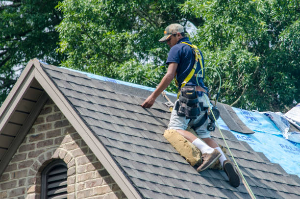 Best Best Roofing Contractors  in South Monroe, MI